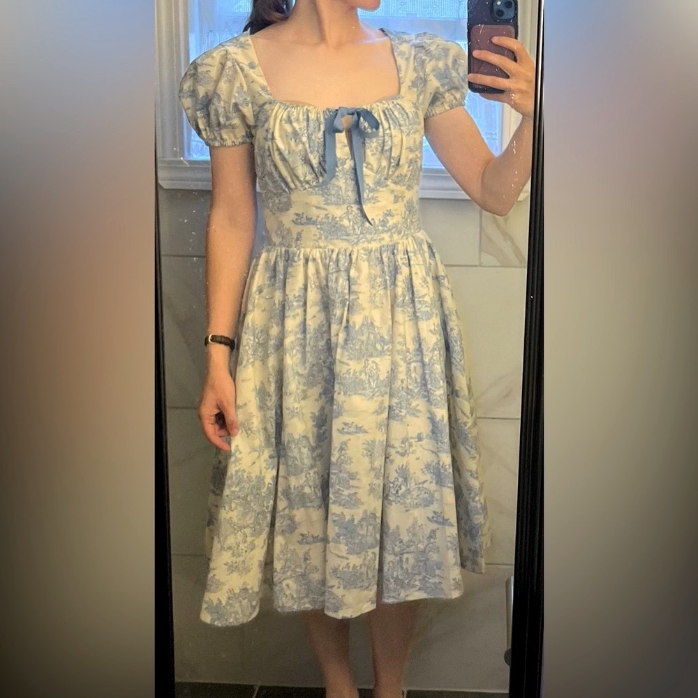 Cute Cottagecore Fit and Flare Toile de Jouy Blue & Ivory Dress Sz 6